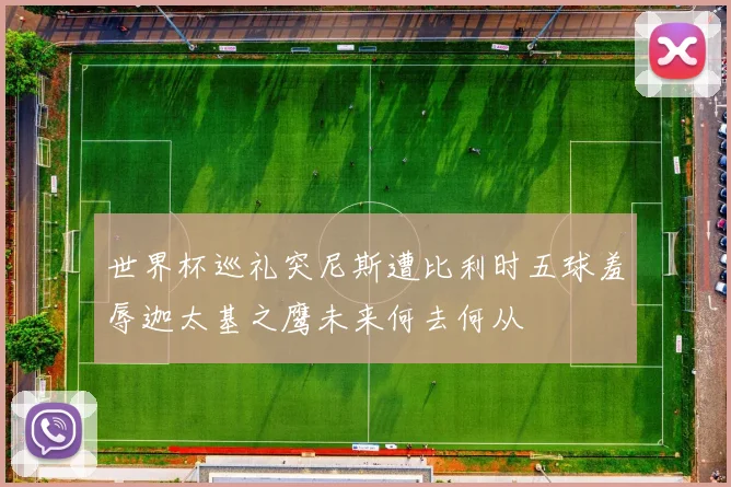 世界杯巡礼突尼斯遭比利时五球羞辱迦太基之鹰未来何去何从