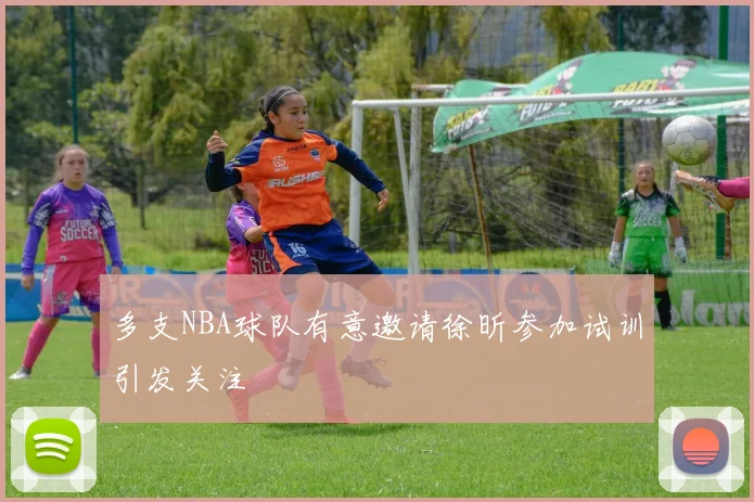 多支NBA球队有意邀请徐昕参加试训引发关注