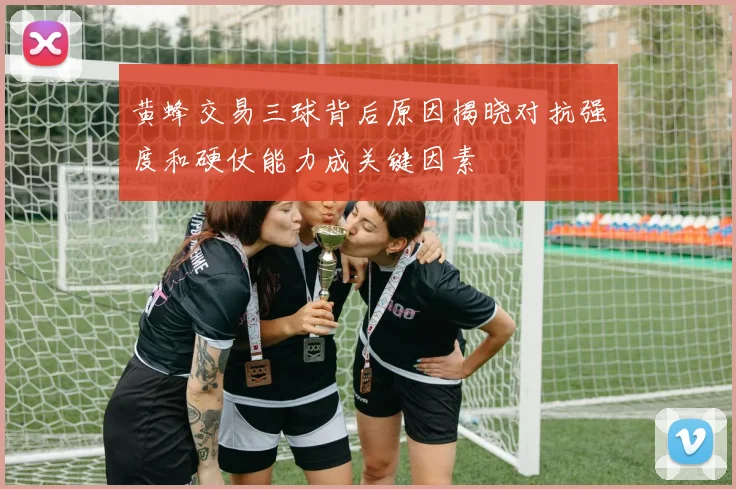 黄蜂交易三球背后原因揭晓对抗强度和硬仗能力成关键因素